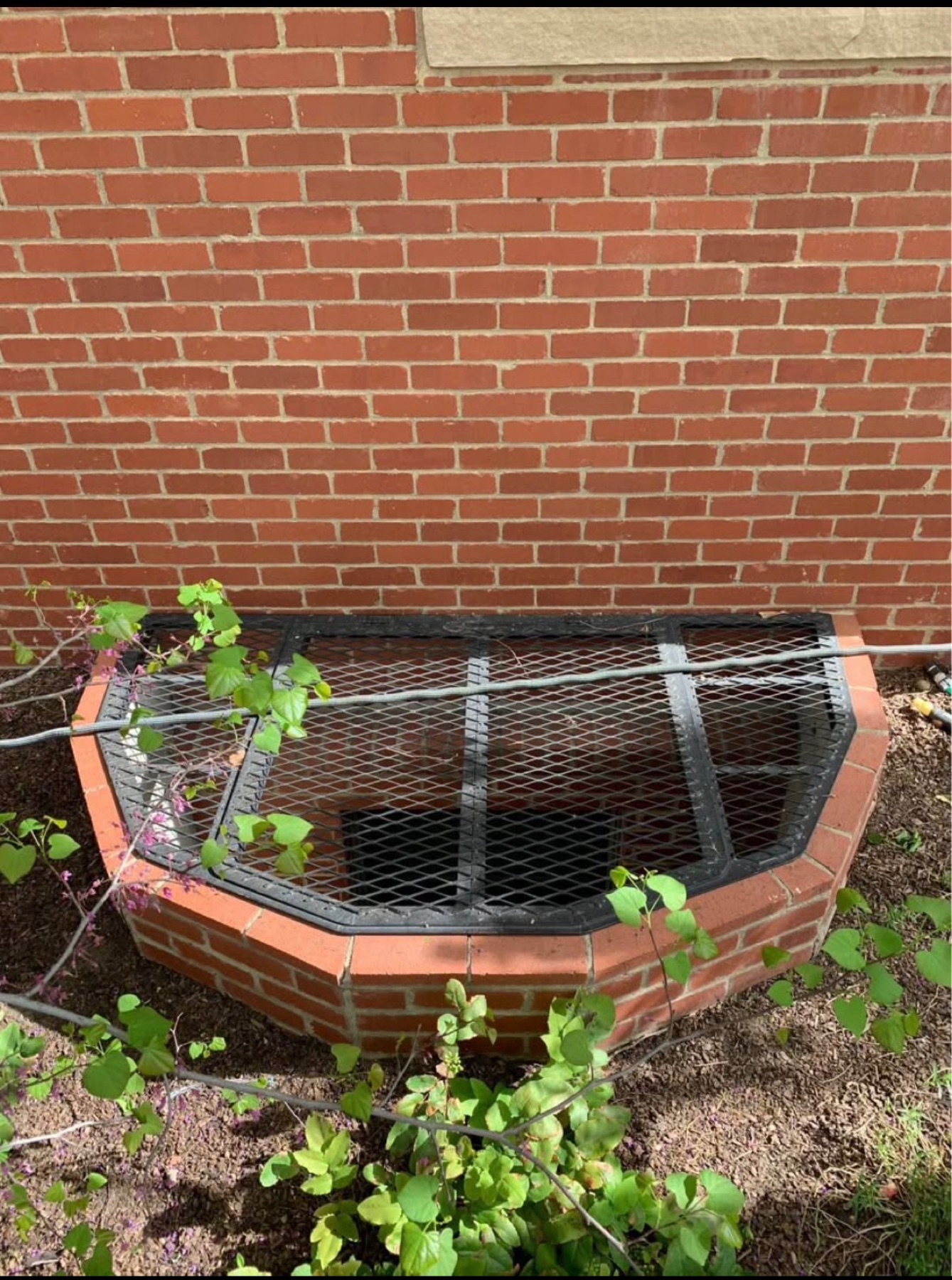 Existing egress window well with grate cover Denver